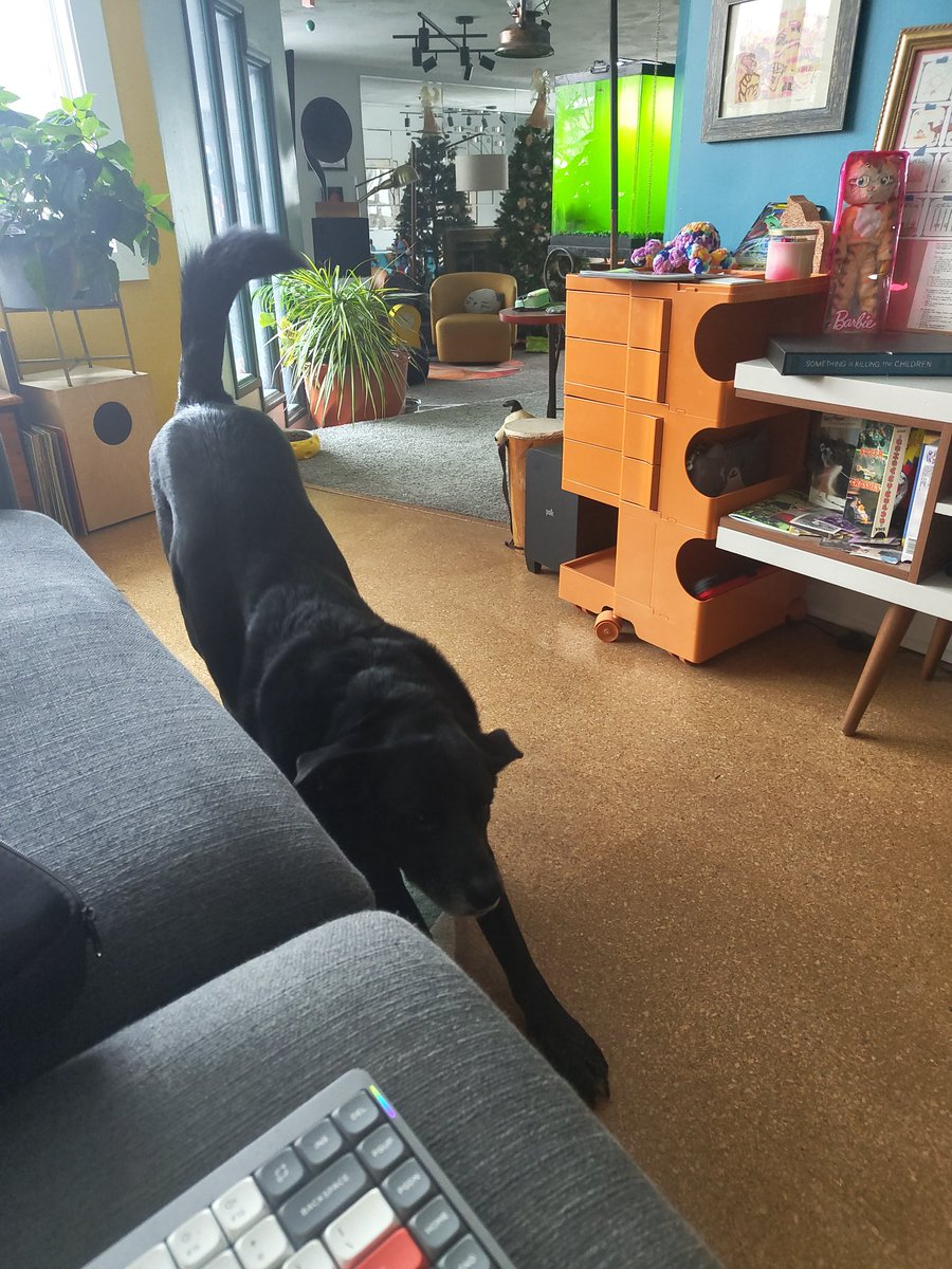 I moved all! Come to my BSKY! &lt;3 bsky.app/profile/manick…
Here's a Gus stretch.