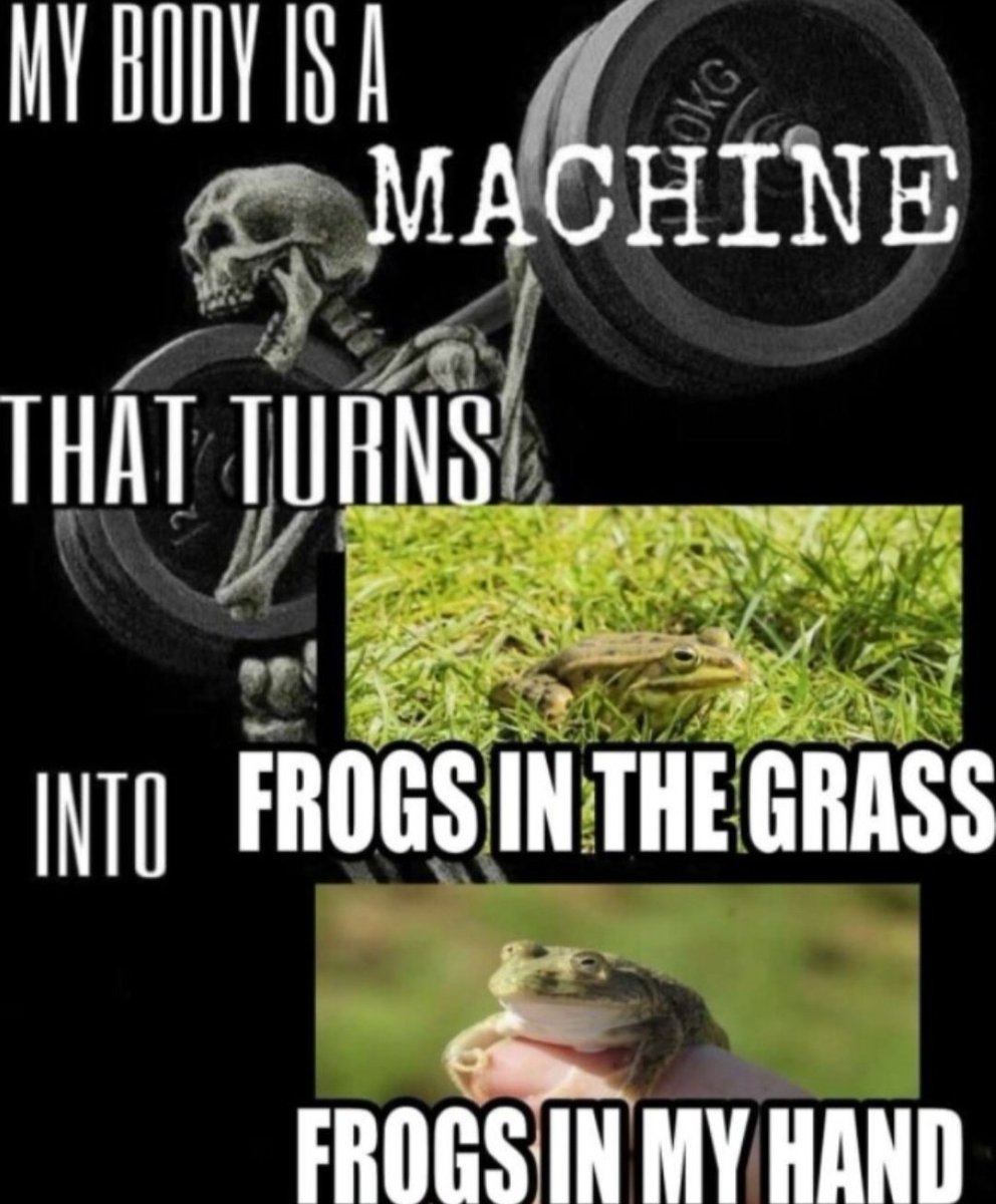 nocontextfrogs's tweet image. 