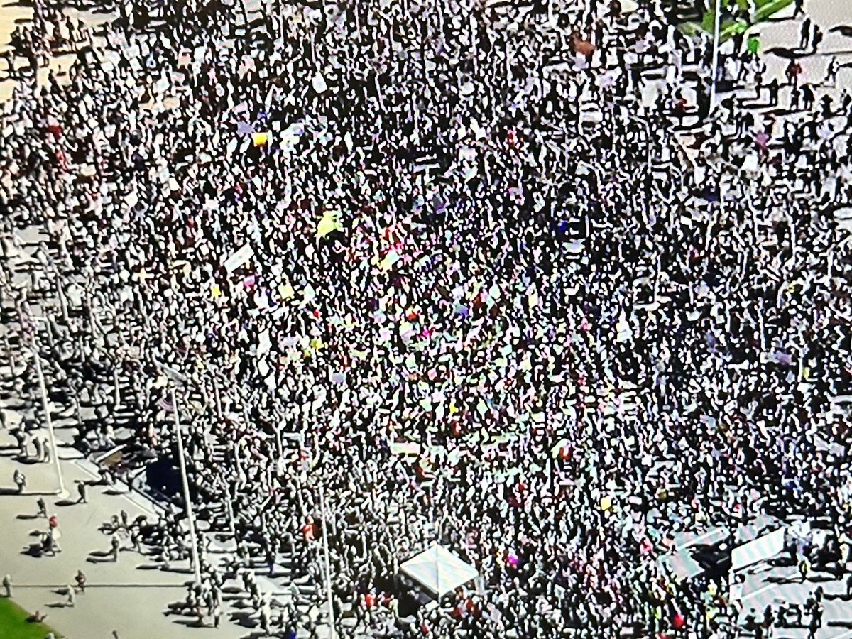 scott budman tweet media