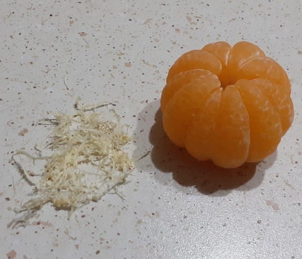 my dream job is to work at a michelin star restaurant where my only task is to peel all the white parts of an orange off.