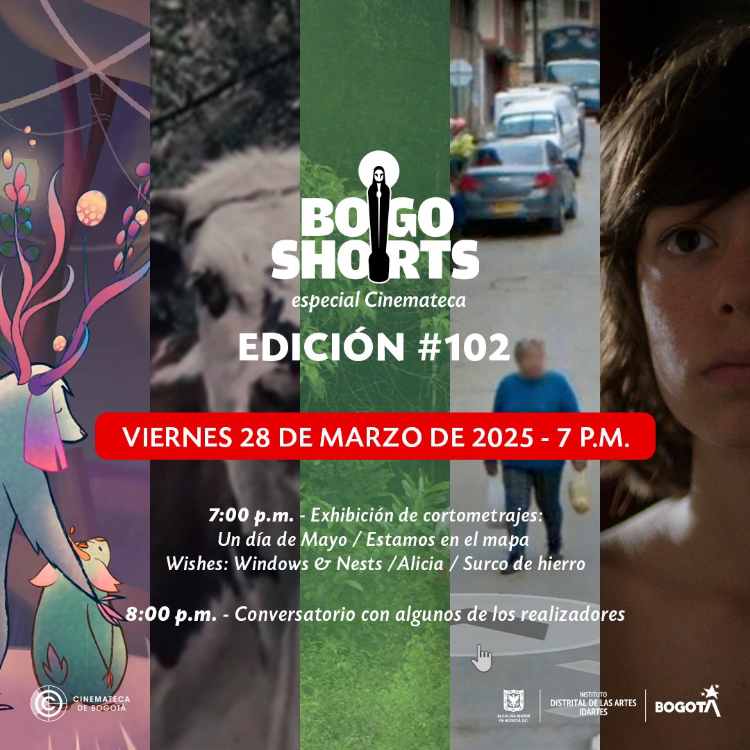 bogoshorts's tweet photo. ⚡Disfrute de la proyección de cinco #CortometrajesColombianos en la edición 102 de #BOGOSHORTSespecialCinemateca. Nuestra cita será el viernes 28 de marzo a las 7:00 p.m. en la
@CinematecaBta.

🎟️ Más info en: https://t.co/UdJzcTiaAq

#MovimientoBOGOSHORTS https://t.co/hRNddg3irF