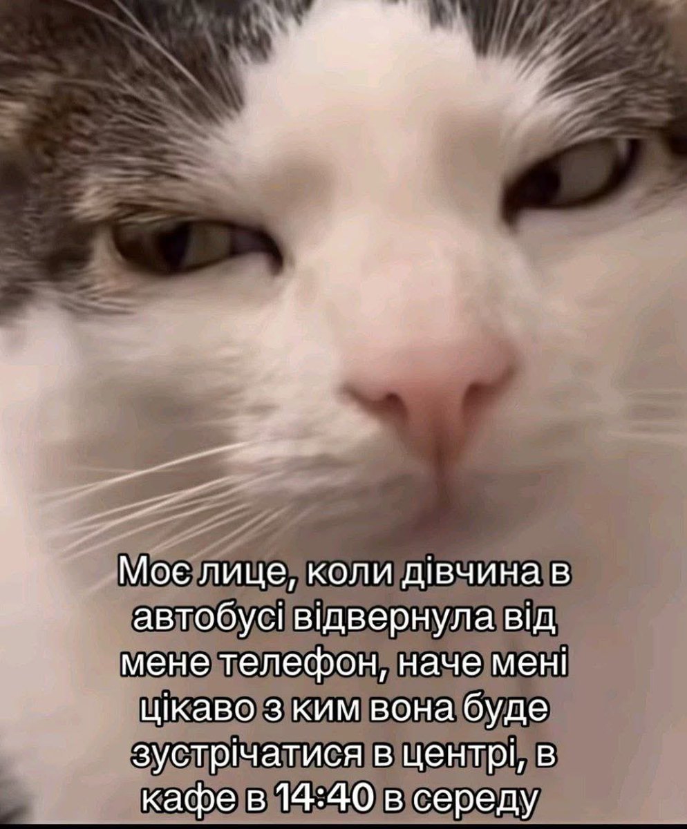 😂