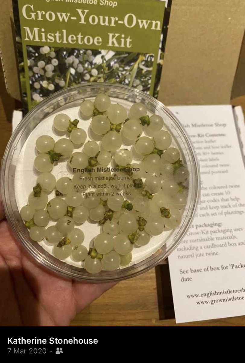 Katherine Stonehouse tweet media