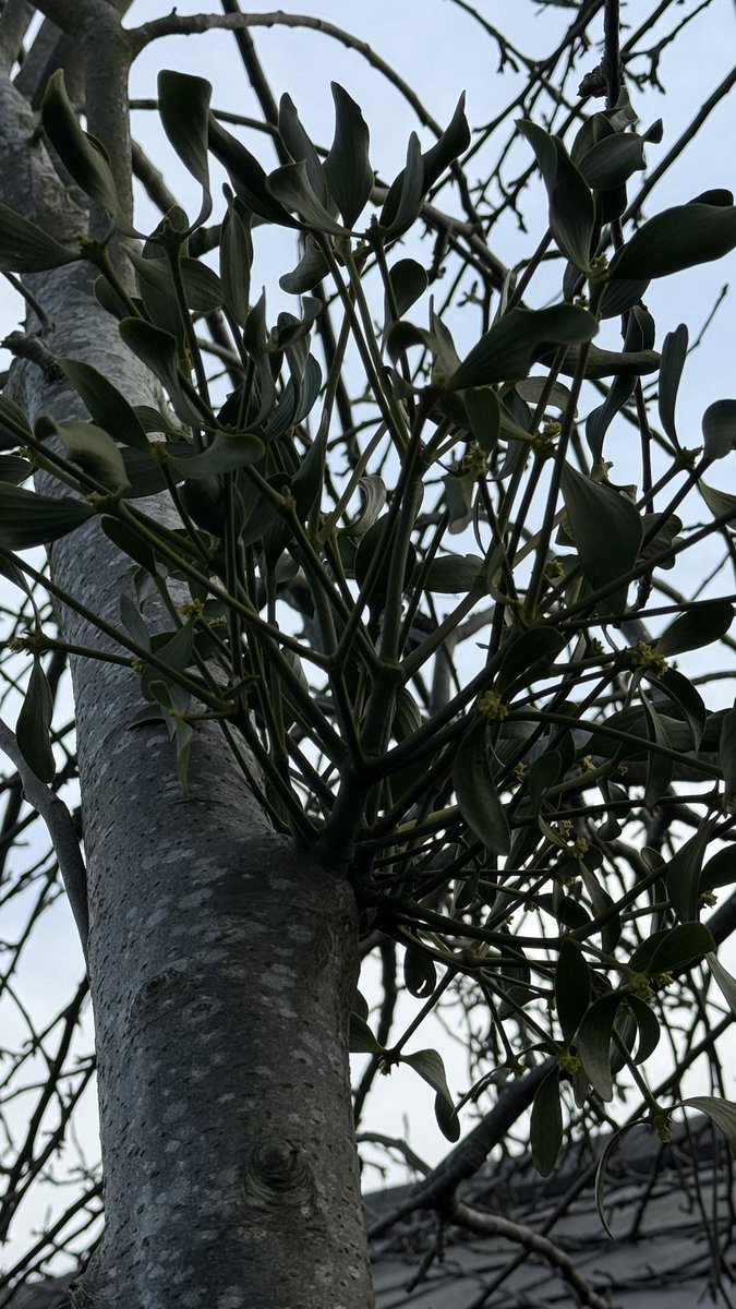 Katherine Stonehouse tweet media