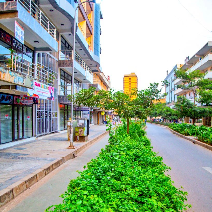 TourKampala's tweet photo. Mostly on some days like Sundays the streets can be randomly calm😍😍🇺🇬

🌱Green city can be achieved by walking tours with us🎉

🌱We take you to the best historical, Religious &amp; Cultural sites
#VisitKampala #CityTours #KampalaCityTours 

Photo📸 KCCA

📍Book a tour: 0774368857 https://t.co/S27ba4T5Jy
