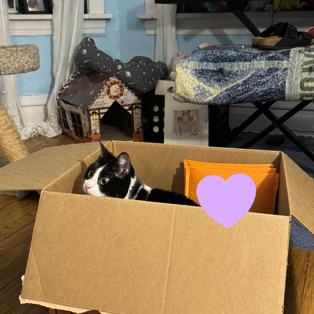 Mockingbird 🐦 Donation by Q2 2026 tweet media