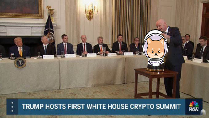 OGDogeX tweet picture