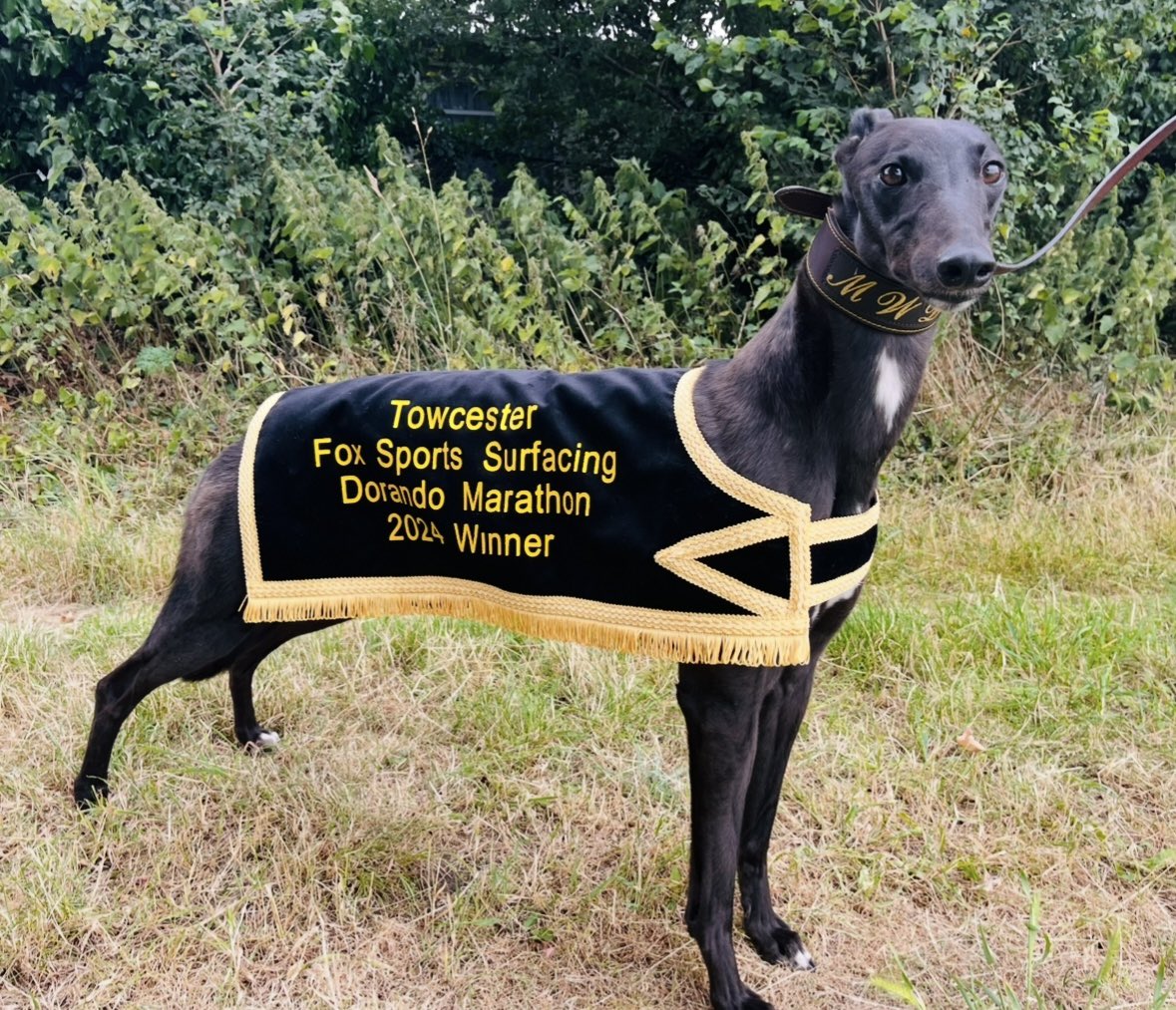 Mark Wallis tweet media