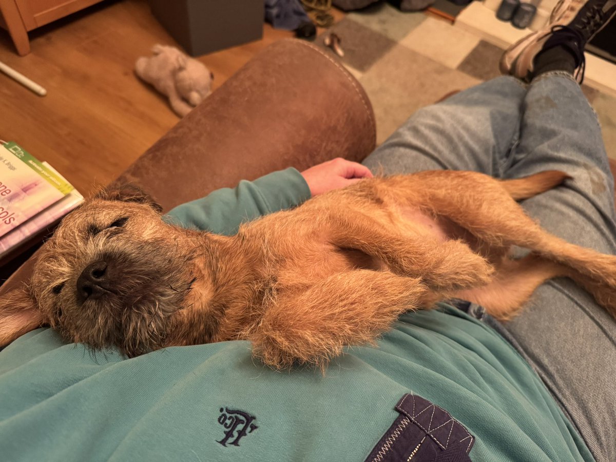 Jo Fowles tweet media