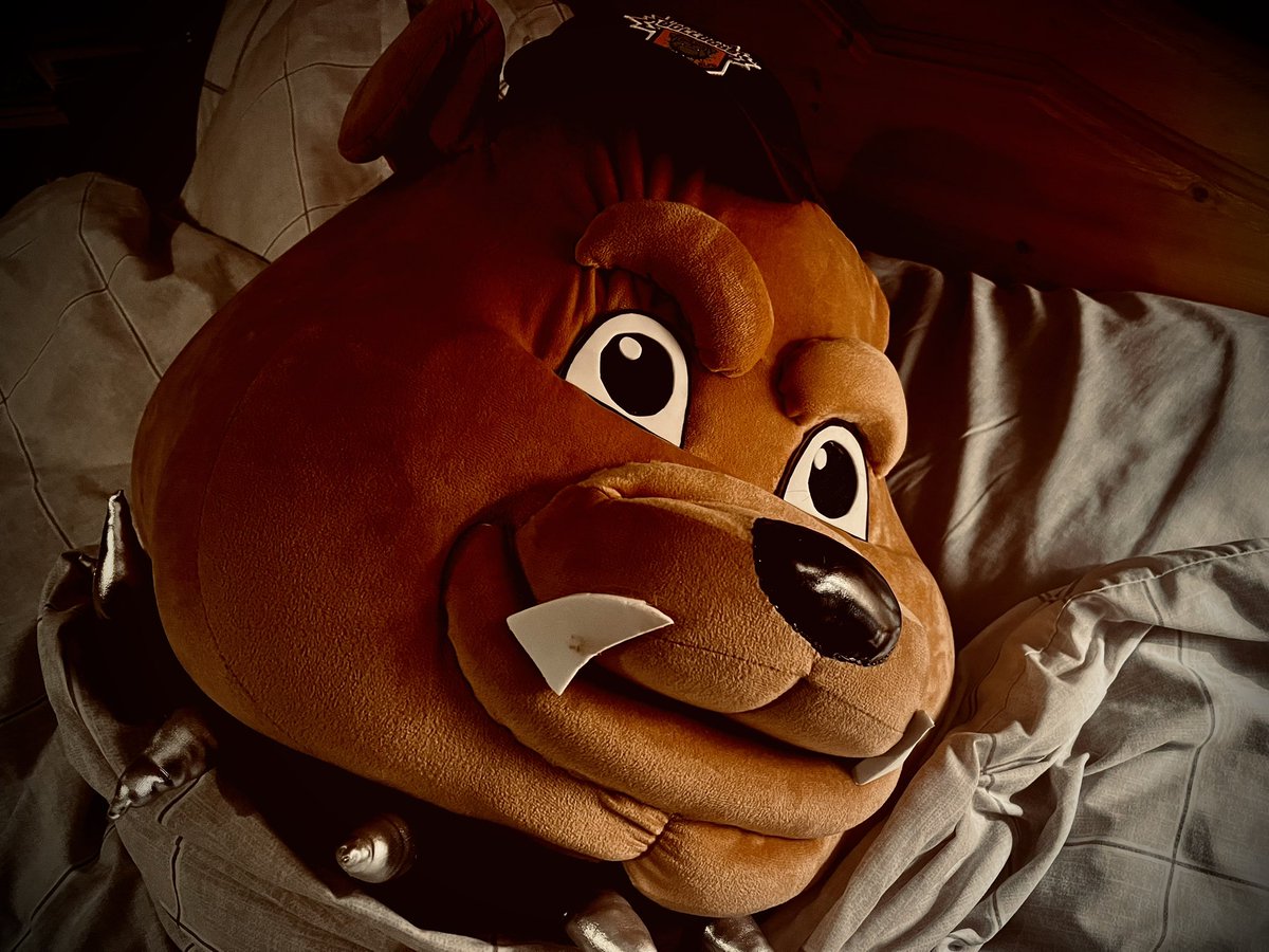 Bassetlaw Bulldogs RLFC tweet media