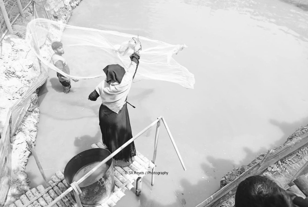 Srphotohub7's tweet photo. Hasina is a Rohingya woman who practiced catching fresh with a freshing net in a pond. 
She is carrying out her family with resilience and finding the way of children 
#srreyes 
#srreyesphotography
#rohingya 
#Refugees
#camplife
#rohingyawoman https://t.co/4XPlbh0Cih