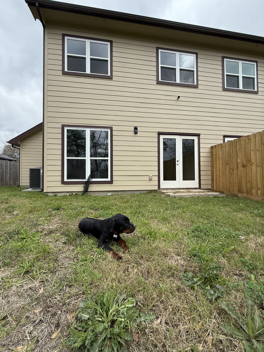 KeezyTwoHundo's tweet image. Just me, my dog, and our new home🙏🏽