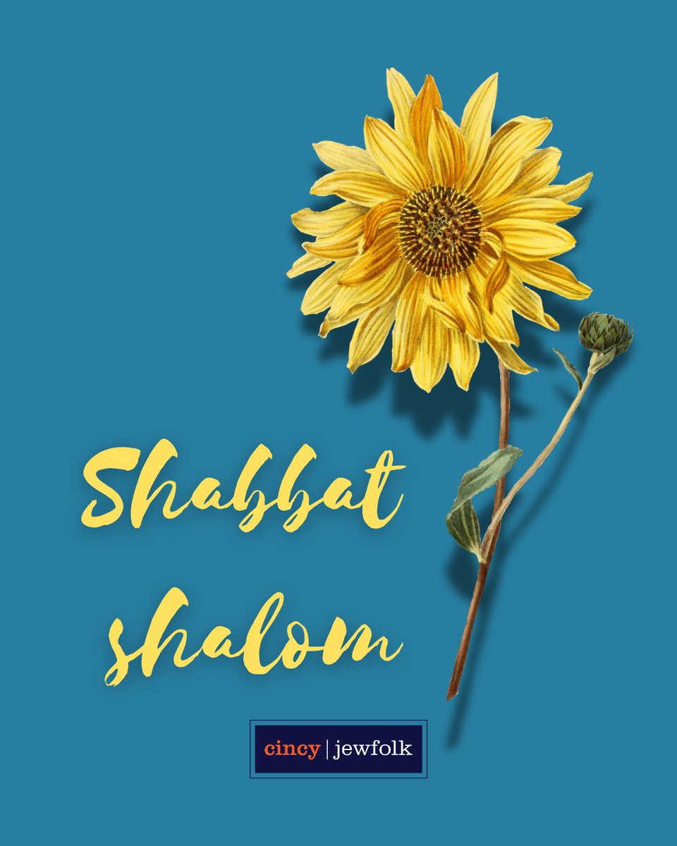 Ufros aleinu sukkat shlomecha — may we settle into Shabbat in peacefulness, Jewfolk!