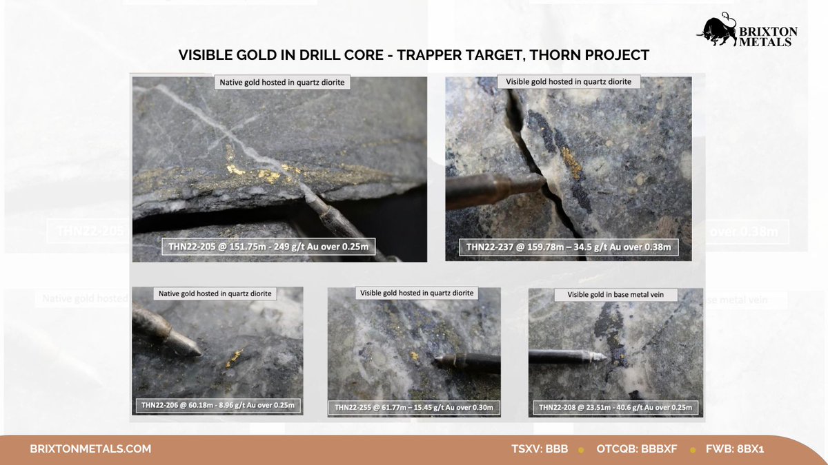 brixtonmetals's tweet photo. High-grade gold at the Trapper Target, Thorn Project! 🔥
With intercepts up to 249 g/t Au over 0.25m, visible gold continues to confirm the district-scale potential at Thorn. Stay tuned as we advance exploration.
TSX-V: $BBB | OTCQB: $BBBXF | FWB: 8BX1
#ThornProject #Gold https://t.co/RWvp15kO59