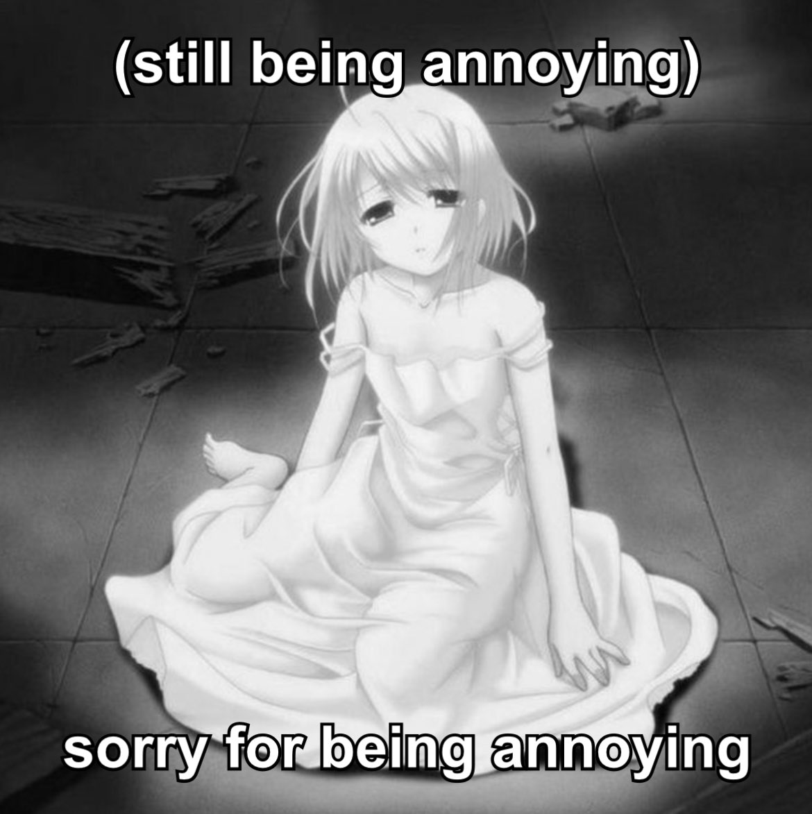nova (@comfypill) on Twitter photo 