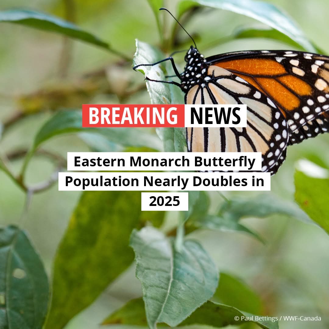 Valerie Schock tweet media