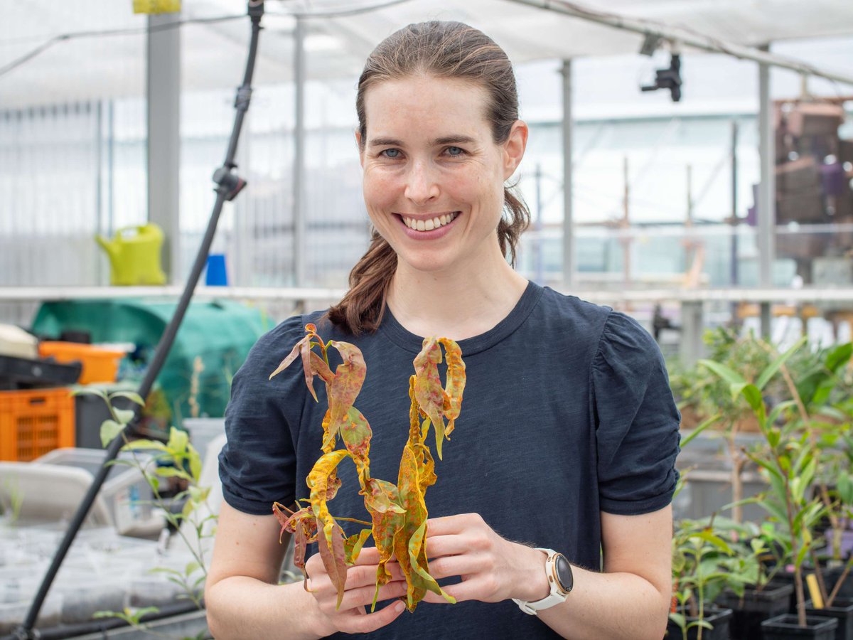 QAAFI proudly supports IWD 2025! 🌿 To kick off the day, we'd ike to congratulate Dr Anne Sawyer on receiving a 2025 Thomas Davies Research Grant. Her research is on RNA as a novel spray-on vaccine for Phytophthora, a devastating pathogen. bit.ly/3F4wUwA
