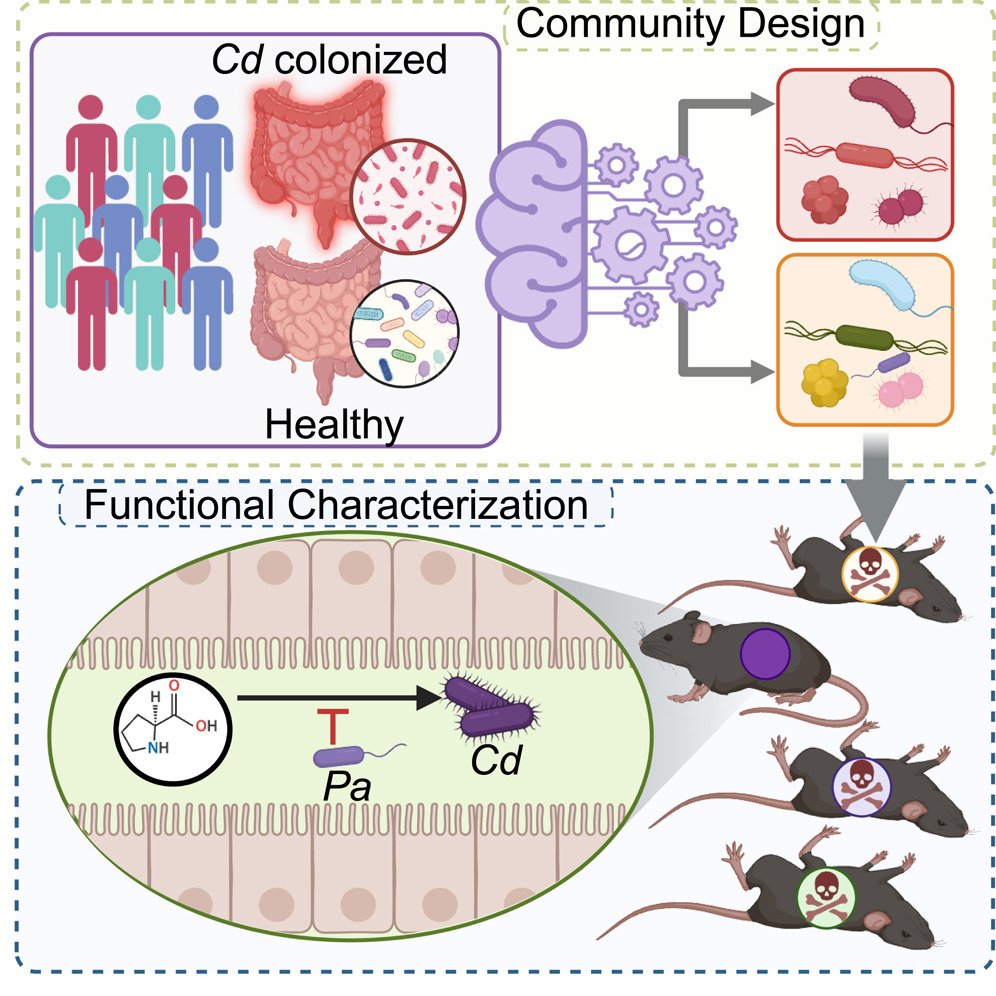cellhostmicrobe's tweet photo. Synthetic microbiota for C. diff resistance
New work leverages meta-analysis of human studies to design a synthetic fecal transplant to manage C. difficile infection &amp; IDs single proline-fermenting strain as sufficient for suppressing C. difficile in mice
https://t.co/2BUyjnEcW3 https://t.co/ys0d5R8Peg