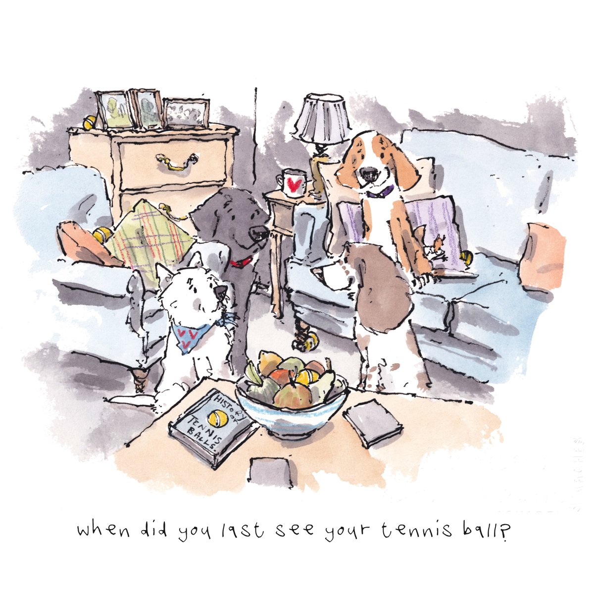 iaindwelch's tweet photo. Good night, lovely people and lovely dogs.
The tennis ball has gone missing.
Sleep well and sweet dreams.
I hope that you have a really wonderful weekend. 
#hoorayfordogs #westie #labrador #beagle #springer #redsquirrel https://t.co/4bvo6kcweK