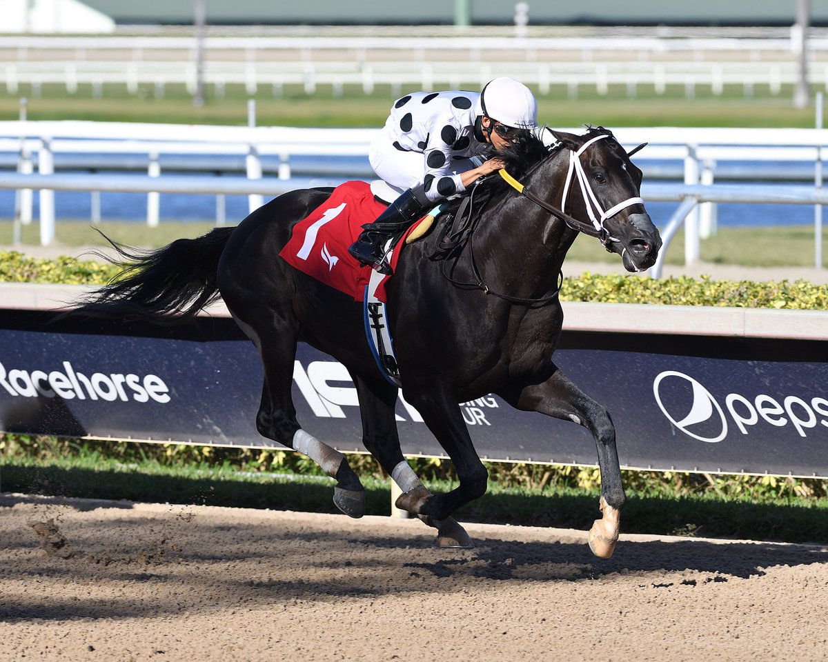 GulfstreamPark's tweet photo. Right Karma finishes strong to deliver in race 7, @zayas_edgardo up for trainer @SaffieJosephJr. #Gulick #ChampionshipMeet https://t.co/pZ2IMKGzlv