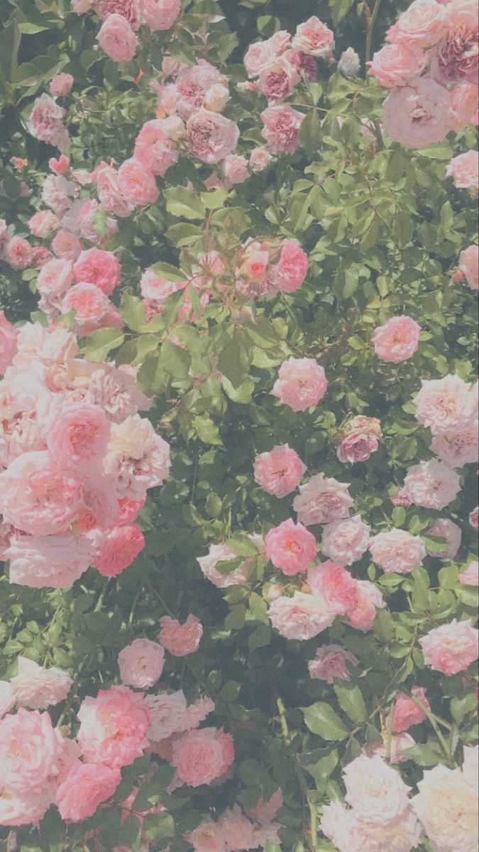 Temporary Shipping call 🤭

Like to become a main ship 
-
May be selective!! 🍰

This means : …

- I can enter your dms as you can enter mine 

-tags and random starters are approved 

Rules / Guidelines:

- no minors !! 
-nobody under 19 😭🙏