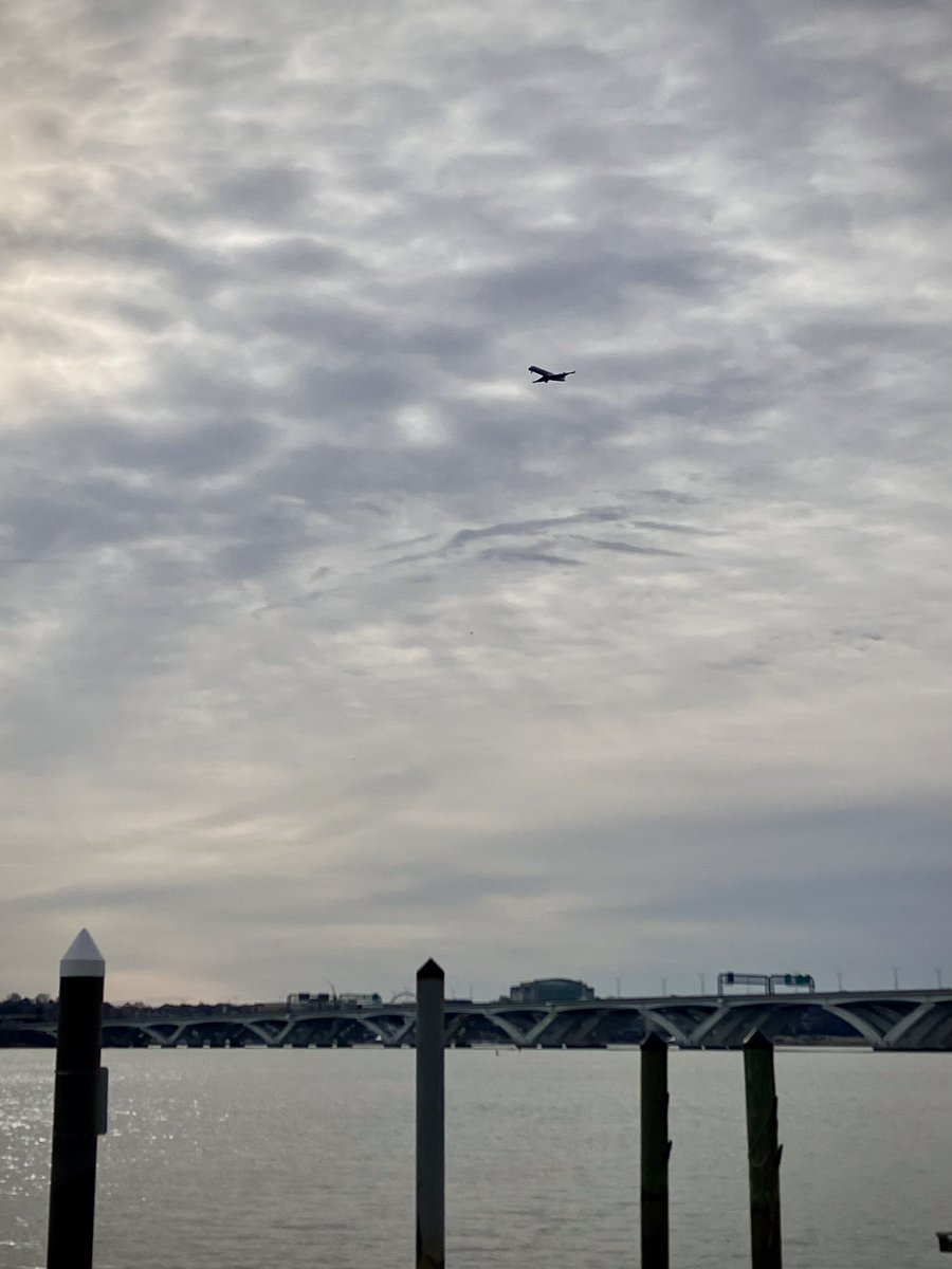 HobanGirl's tweet photo. Squeezed in a 5-miler after the 8am Mass, totally invigorated. So nice to see 85-yo Fritz recovering after release from the rehabilitative clinic, and got to soothe a cranky infant in my belfry with a picture book of golden retrievers. #StMarys #WolfeSt #camellia #WilsonBridge https://t.co/xPOnHfnLjx