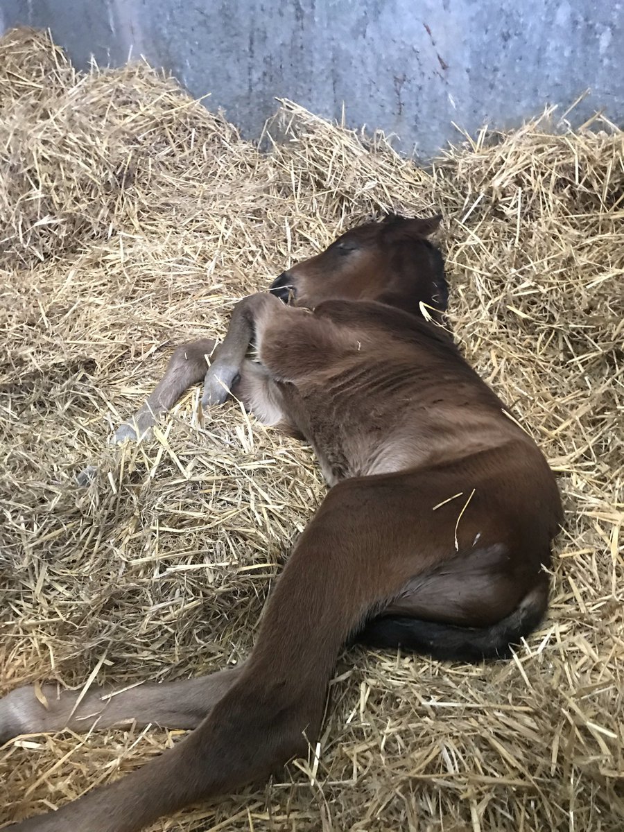 Caroline Brindley tweet media