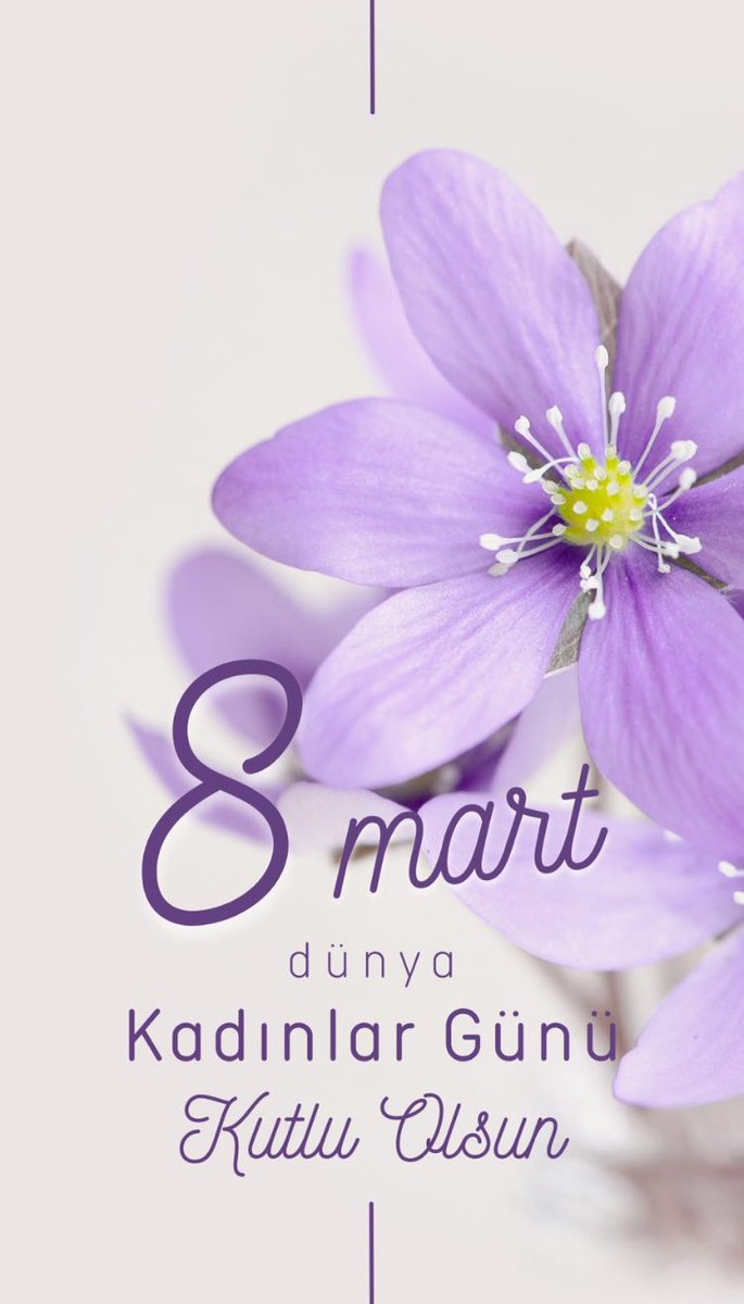 harbiye93's tweet photo. https://t.co/XcDko9E0e7