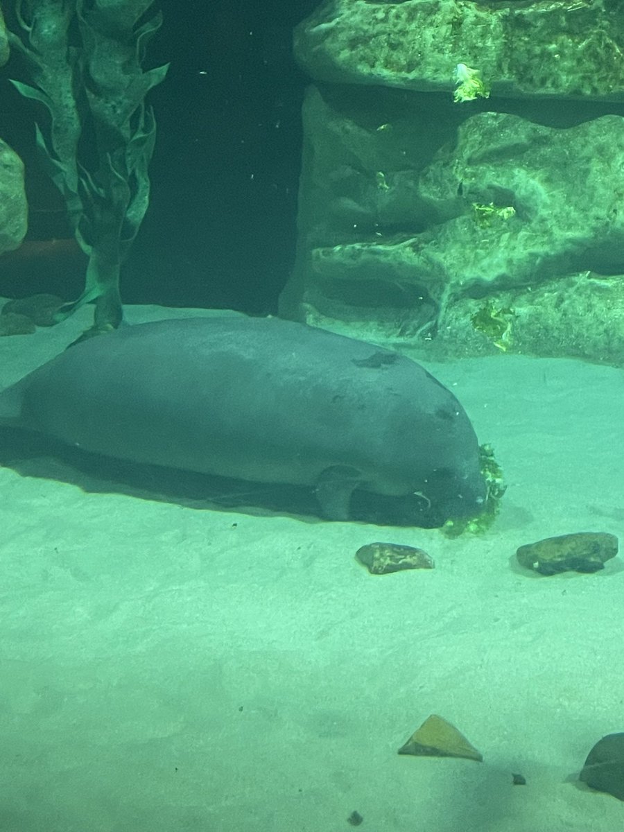 THE BEST BOY onlyfans.com/shruboneout