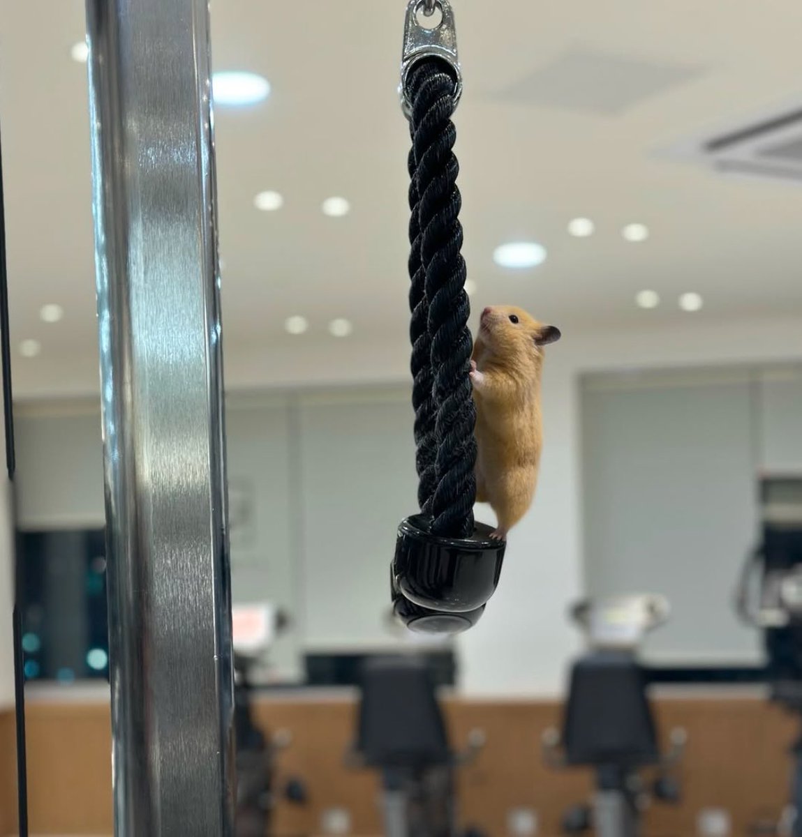 twaniimals's tweet photo. https://t.co/ezqjW6BR1L