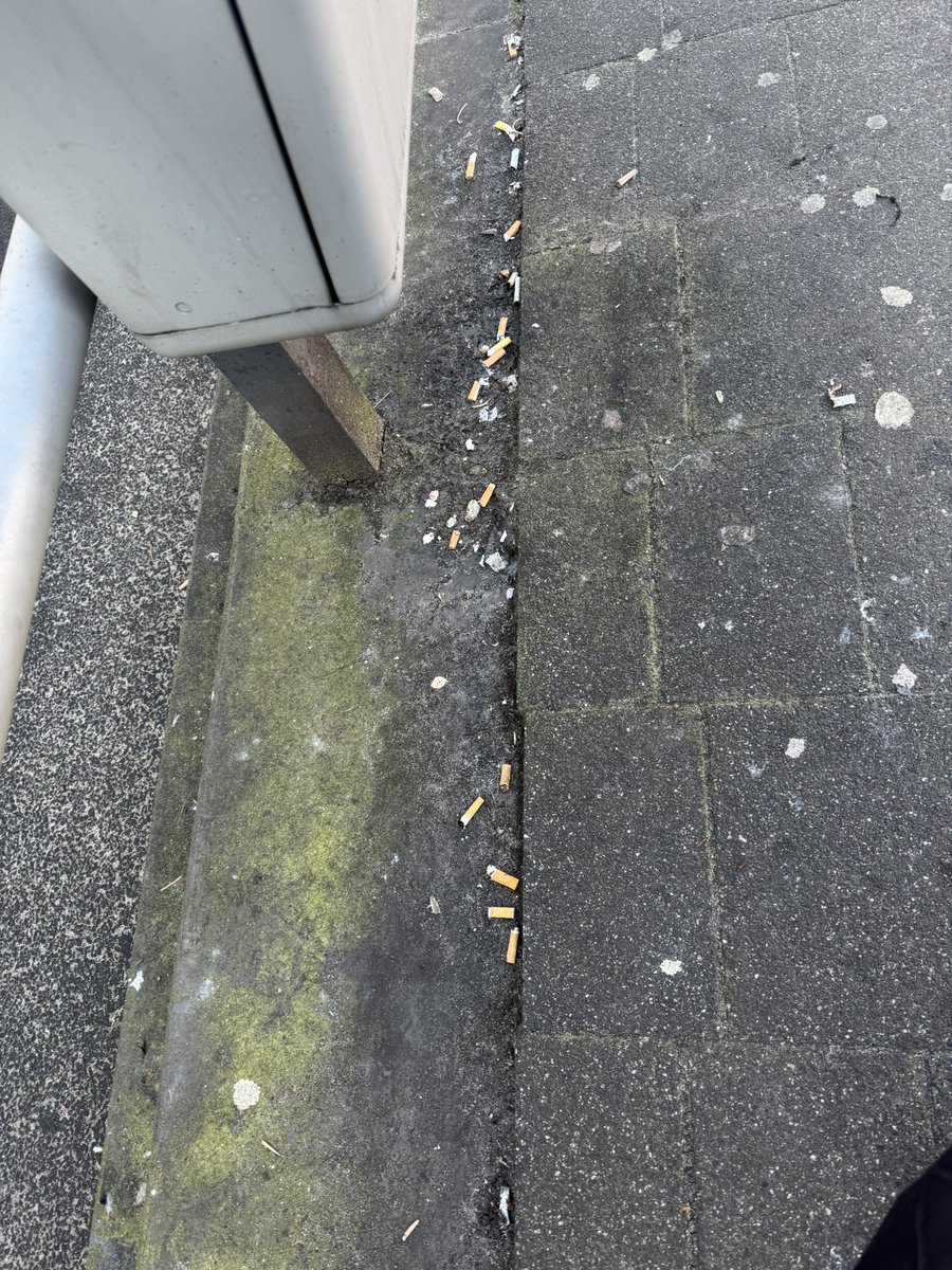 shanafi's tweet photo. @GemeenteDenHaag Het groeiende probleem van hondenpoep en sigarettenpeuken op onze straten vraagt om aandacht. Het plaatsen van asbakken bij tramhaltes zou het zwerfafval van sigaretten en kauwgom aanzienlijk kunnen verminderen. Een schoner Den Haag is goed voor bewoners. https://t.co/79rW2fFw7C