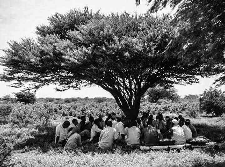 keepnitreeall's tweet photo. Roots https://t.co/ov6twWIur4