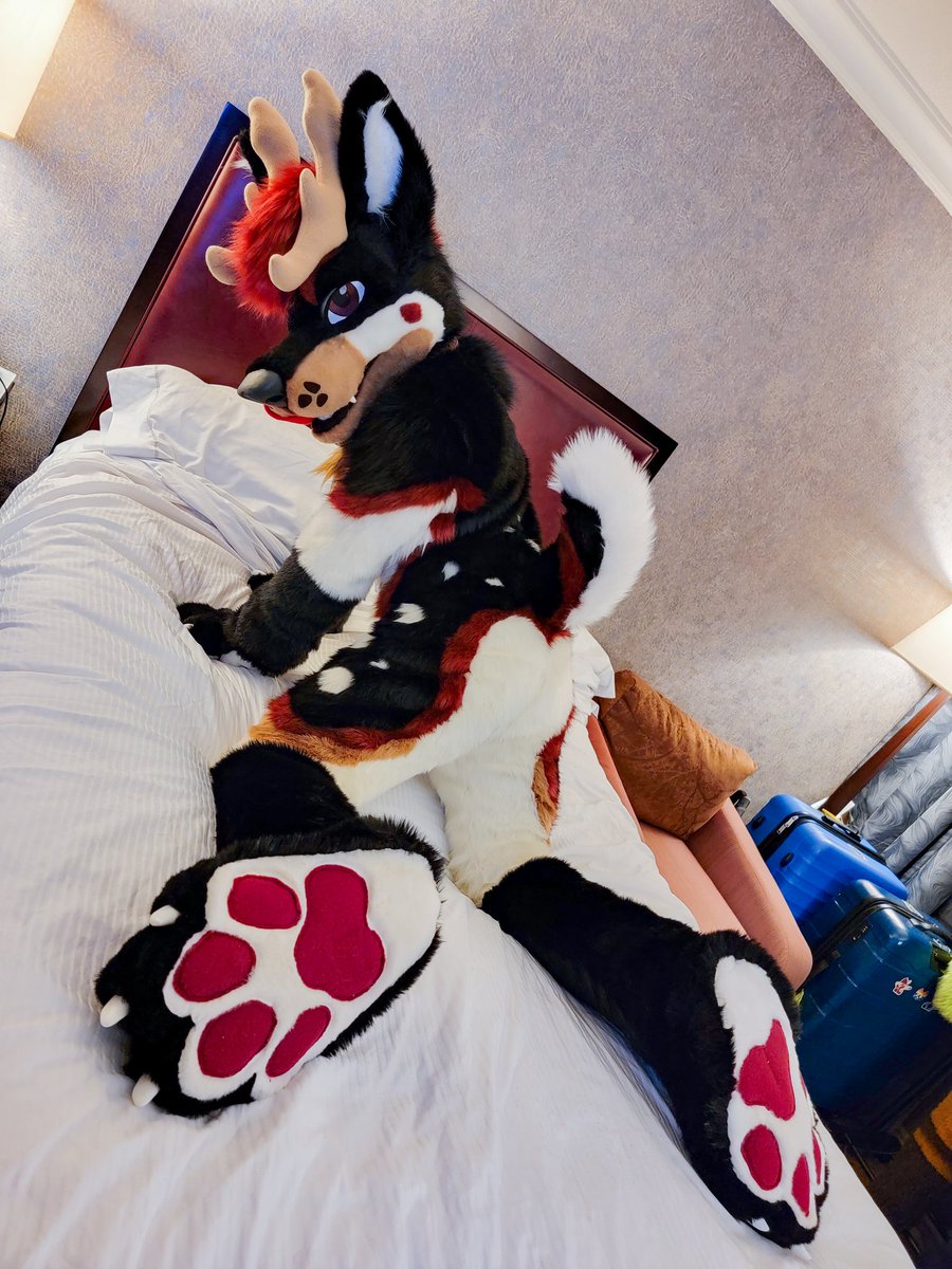 Derr (@derrthedeerfox) on Twitter photo Oh I'm sorry, I'm just making my bed! Getting it ready for <a href="/FurnalEquinox/">Furnal Equinox</a>. Though, it may just get messy again...
#FursuitFriday
πͺ‘ <a href="/MadeFurYou/">Made Fur You</a> Oh I'm sorry, I'm just making my bed! Getting it ready for <a href="/FurnalEquinox/">Furnal Equinox</a>. Though, it may just get messy again...
#FursuitFriday
πͺ‘ <a href="/MadeFurYou/">Made Fur You</a>
