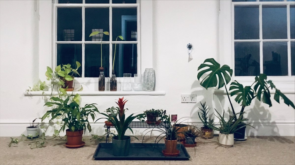 zhao_fu_qiang's tweet image. A heartfelt thank-you to @SHe6266 for her new book, Metaphor Translation in Popular Science. Many congratulations on this wonderful achievement! 🎉
With my plants keeping me company, I’m settling in for a good read! 🌿
#PhDLife