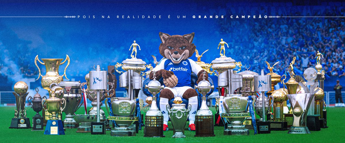 Cruzeiro's tweet photo. Pois na realidade é um grande campeão! 🦊💙 https://t.co/E3JrrvqnGV