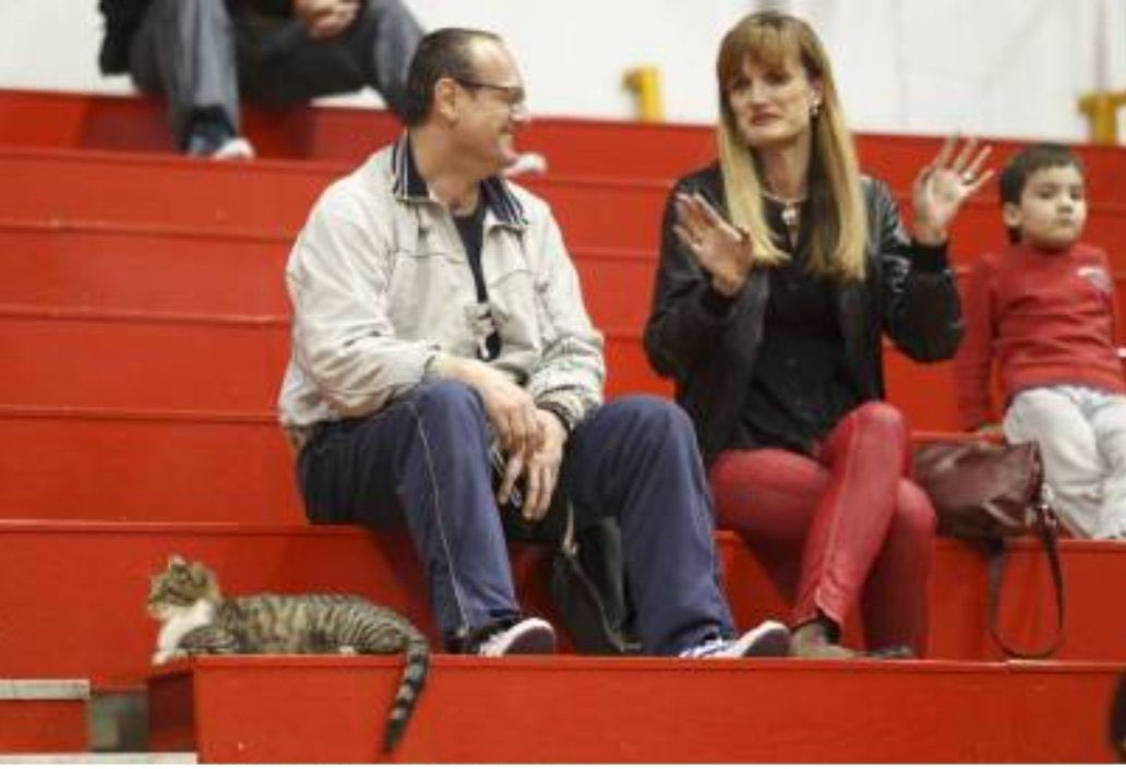 Слика од пре 13 година.

#mackaljubica #ljubicathecat #kkcz