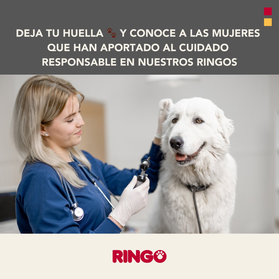 efectoringo's tweet photo. Hoy reconocemos a las mujeres que dejan huella en la veterinaria y en el cuidado responsable, 🩺   Comenta un  🐾 y te contamos sobre ellas.  🤩⬇ https://t.co/7mma0NYF7z