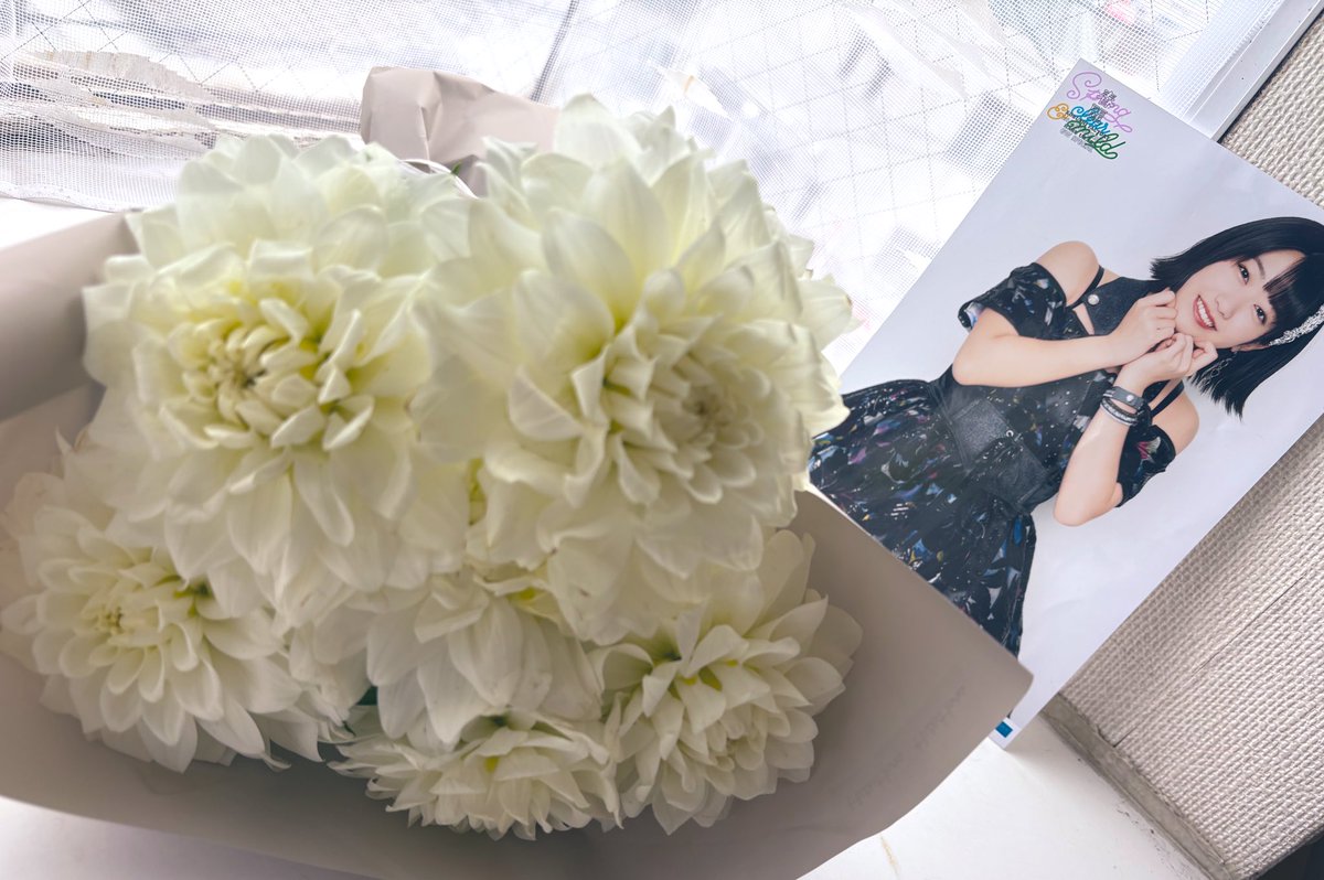 あかねちゃん (@aaachion) / Posts / X