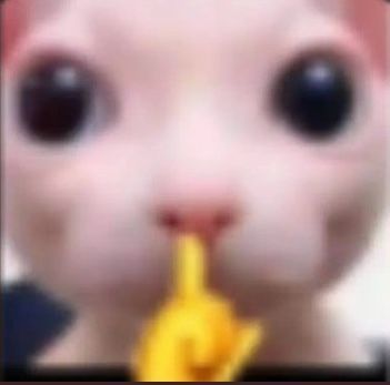 TheTrueAccount_2 tweet media