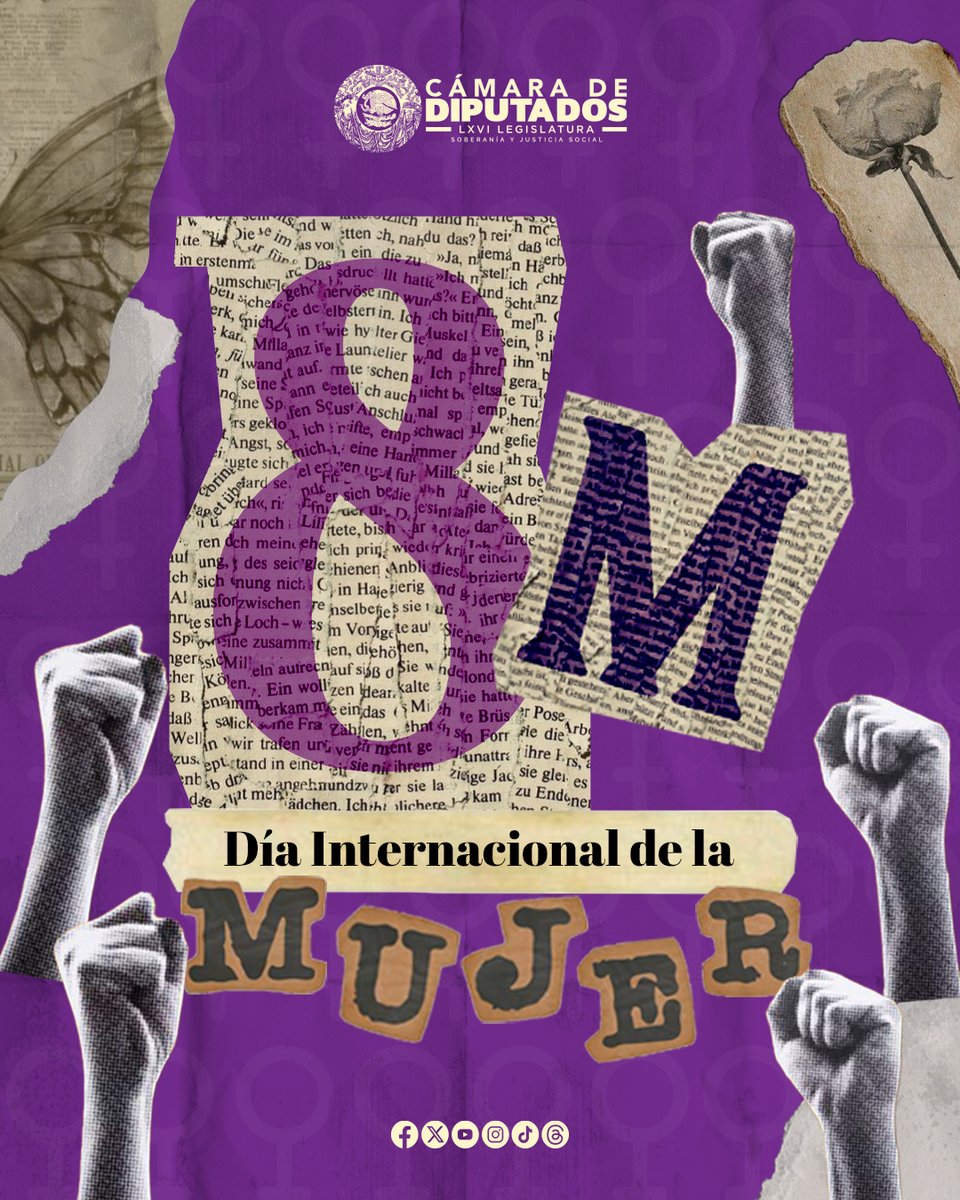 Mx_Diputados's tweet photo. 🙋🏽‍♀️ Hoy conmemoramos la lucha histórica de las mujeres por la igualdad de derechos, la justicia y la dignidad. Esta fecha también visibiliza las barreras y desafíos que aún enfrentan en todo el mundo, como la violencia de género o la desigualdad salarial. #8M #Mujeres https://t.co/LvpIr4h5No