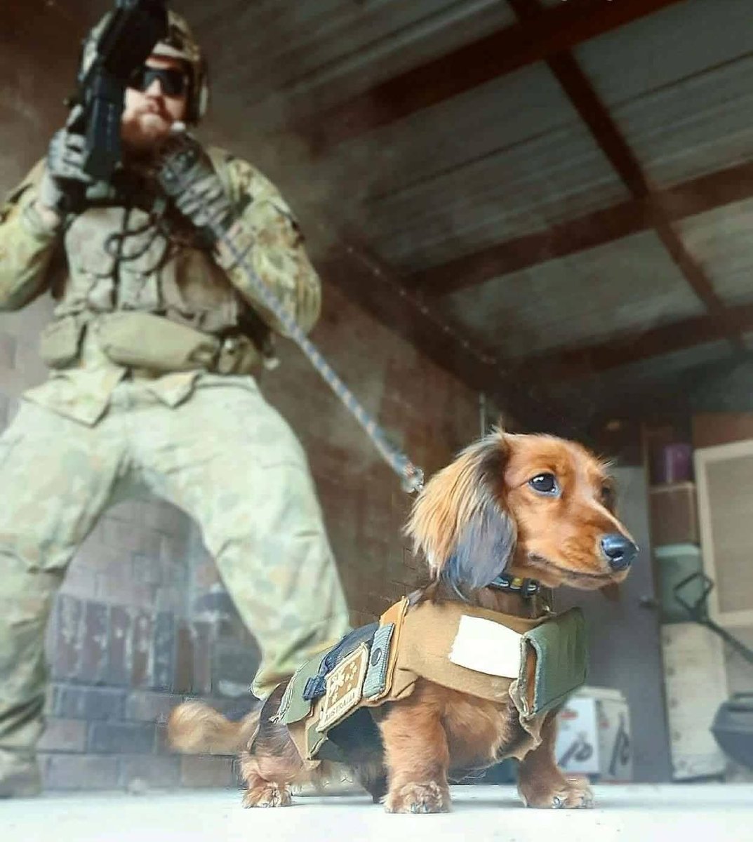 DiloConPerritos's tweet photo. Uno con contactos entra a trabajar a donde sea. https://t.co/ljxrEcfHTa