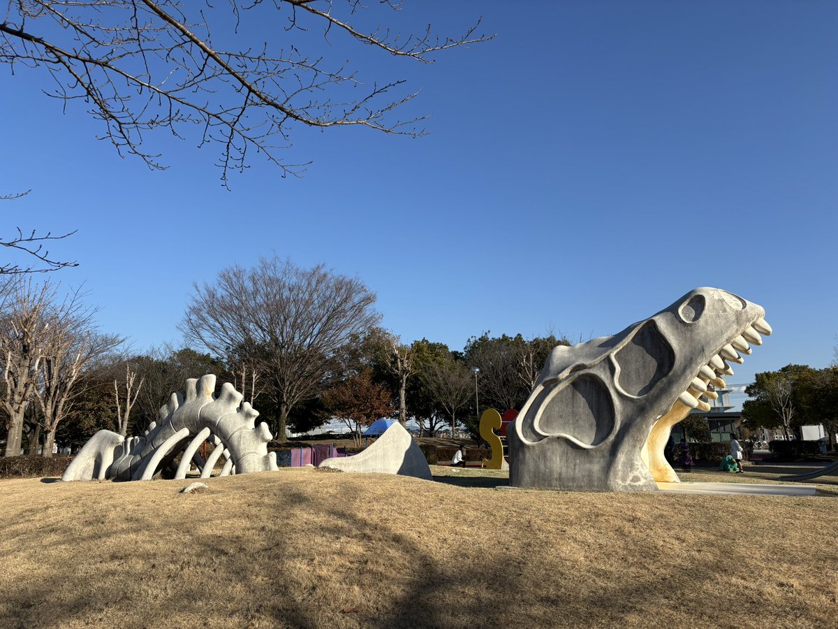 secret_ibaraki's tweet photo. 結城市にある「けやき公園」。市役所の向かい側にある大きな公園には、遊具に紛れるように恐竜の骨が！見た目のインパクト大です。個人的には、周辺の舗装された広場や道路の雰囲気が好きです♪
#ヒミツのイバラキ 
#茨城 
#茨城県 
#ibaraki 
#結城市 
#公園 
#park 
#恐竜 
#広場
#family 
#walking https://t.co/Yo9RCJeTzW
