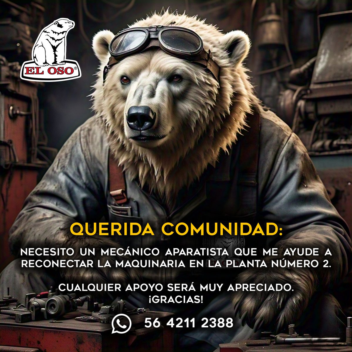 El_Oso_Mexico's tweet image. ¿Tienes experiencia o conoces a alguien que sea Mecánico Aparatista y Técnico de Instalación de Cableado y Red? ¡NECESITAMOS TU APOYO!
Ayúdanos a acelerar la instalacion de nuestra nueva planta, si te interesa apoyar a  nuestra familia... CONTACTANOS al número
