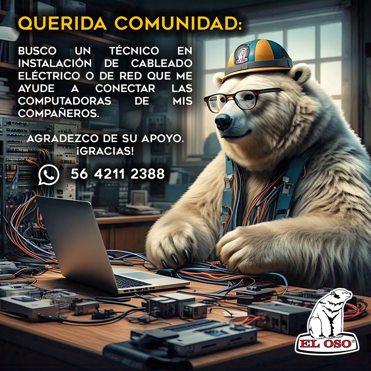 El_Oso_Mexico's tweet image. ¿Tienes experiencia o conoces a alguien que sea Mecánico Aparatista y Técnico de Instalación de Cableado y Red? ¡NECESITAMOS TU APOYO!
Ayúdanos a acelerar la instalacion de nuestra nueva planta, si te interesa apoyar a  nuestra familia... CONTACTANOS al número