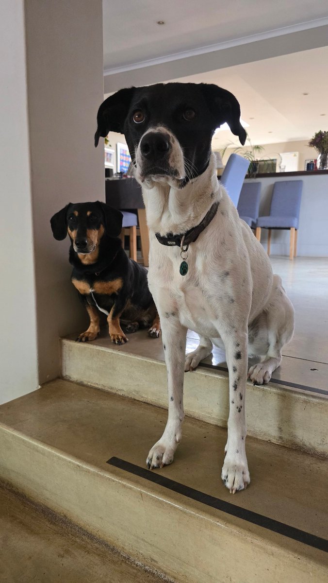 RustedNexus 🇿🇦 tweet media