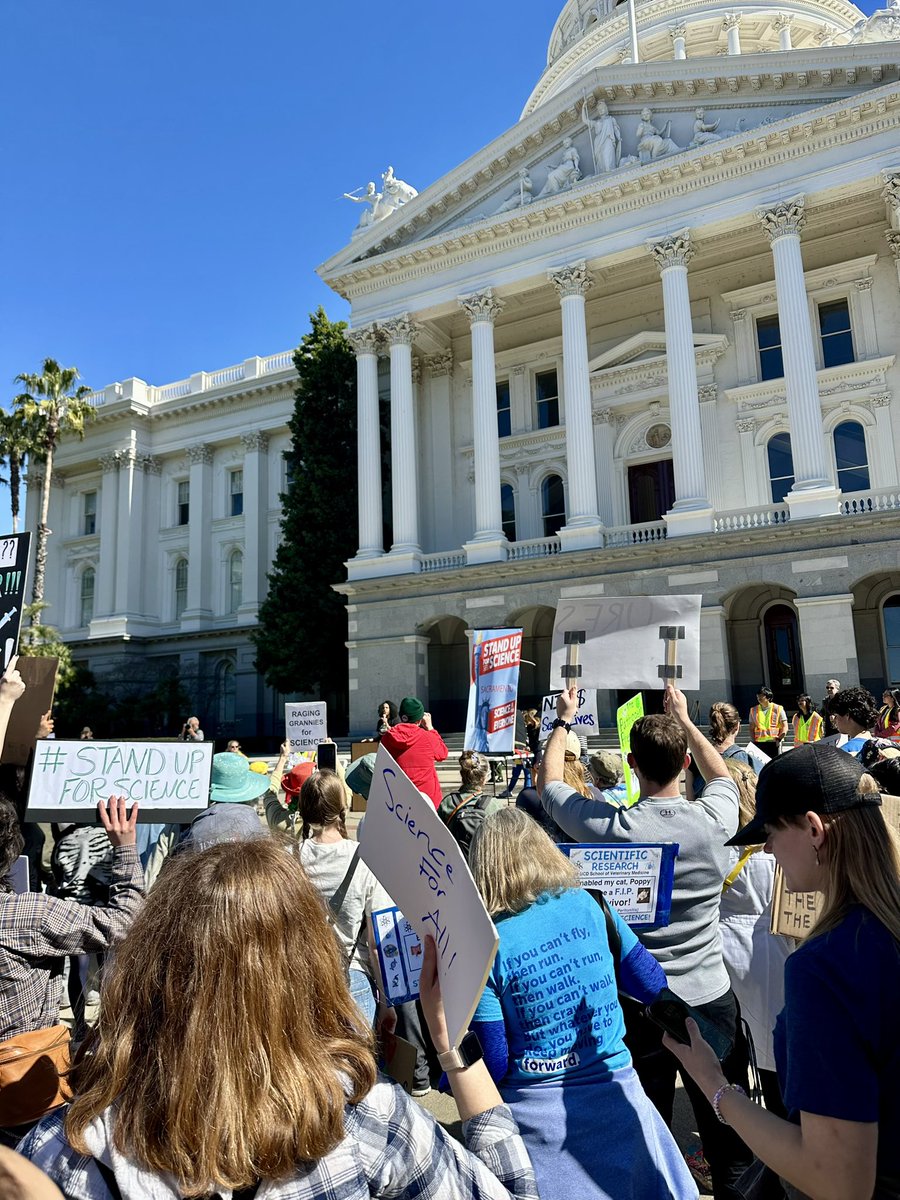 SaraThomasy's tweet photo. Standing up for Science in #Sacramento! Great representation by @ucdavis led by Dr. Theanne Griffith with a speech by @RogersLabUCD. https://t.co/QDVYwYid1Z