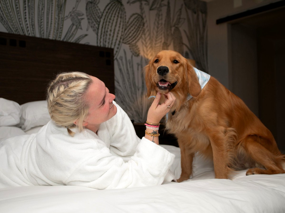 #Vacations are best spent surrounded by family &amp; friends. For a lot of us, that includes four-legged family &amp; friends! 🐕 At #WhitneyPeak, we want your pooch's stay to be as memorable as yours. Book a stay in one of our #PetFriendly rooms for some much-needed puppy pampering!