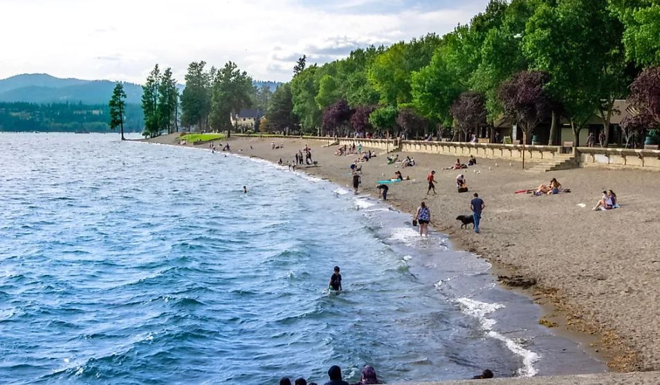 visitidaho's tweet image. 10 Best Lakeside Towns In The United States #VisitIdaho #CoeurdAlene #Sandpoint

worldatlas.com/cities/10-best…