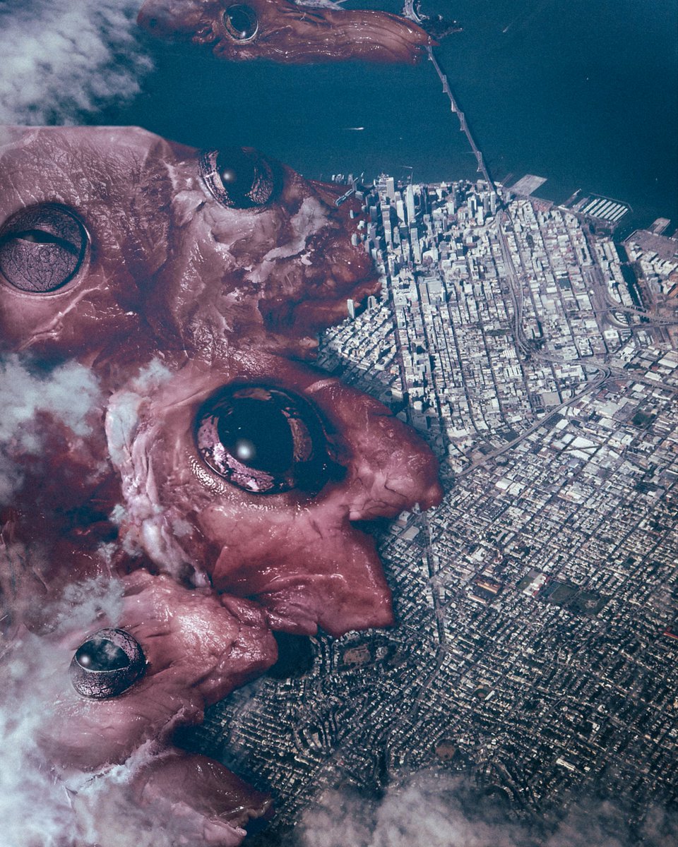 Eduardo Valdés-Hevia 👁️ tweet media