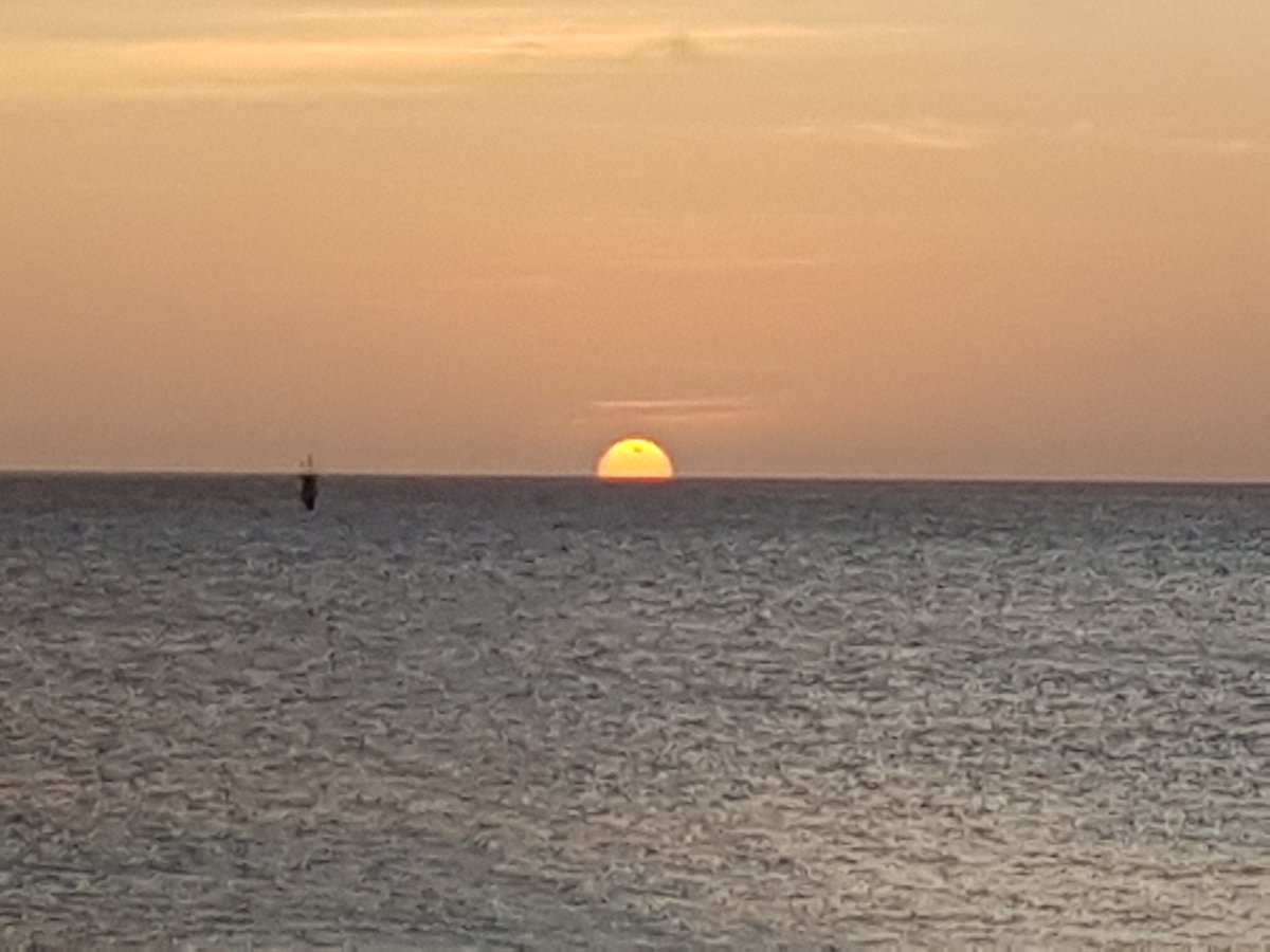 StevenDropdmc's tweet photo. #Friday #FridayVibes #FrHIGHday #Music #Dropdmc #Aruba
Aruba one happy island π¦πΌπ https://t.co/ljWfjrXbxs